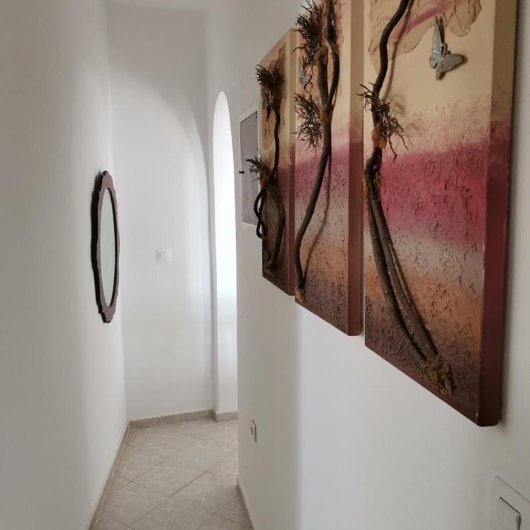 Seaview Family House Apartment Arkasa Luaran gambar