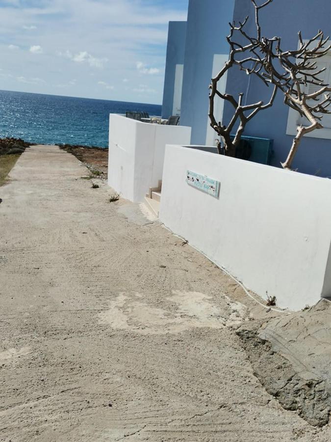 Seaview Family House Apartment Arkasa Luaran gambar